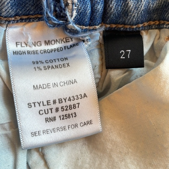 Flying Monkey - Picture 4 of 4